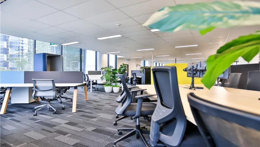 Efficient Office Contractors: Expert Solutions For Modern Workspaces