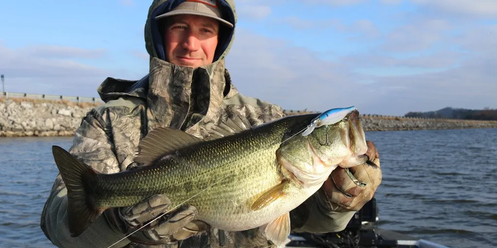How To Bass Fish Like A Pro